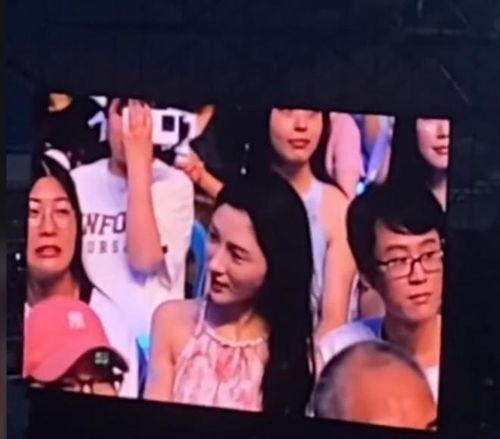 吃瓜视频演唱会在线观看,吃瓜视频演唱会在线直播，带你领略音乐魅力