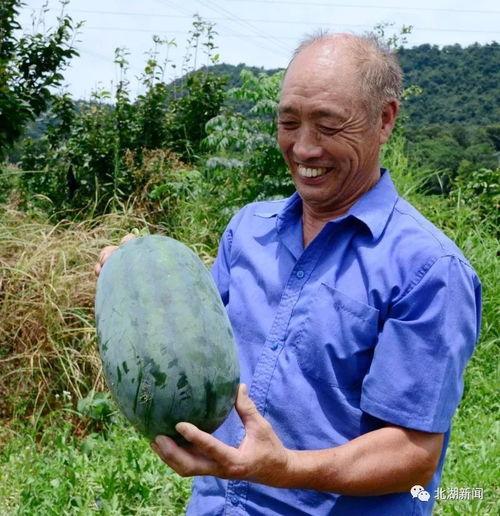 群众吃生瓜视频,揭秘群众疯狂尝鲜的生瓜视频