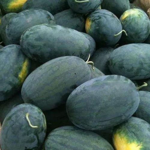 长江新视频吃瓜,揭秘吃瓜群众的狂欢盛宴