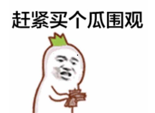 抱抱吃瓜群众视频大全,揭秘热门视频背后的趣味故事