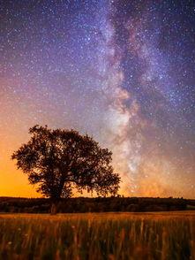 星空美女吃瓜视频,揭秘娱乐圈幕后风云