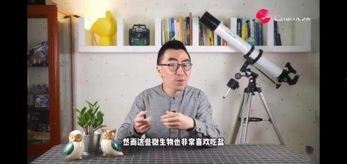 外国人吃土瓜视频大全集,外国人挑战吃土瓜视频大集合