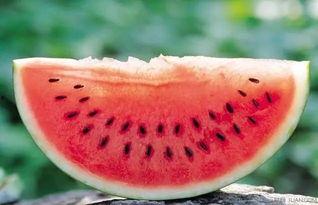 广西天气吃瓜视频