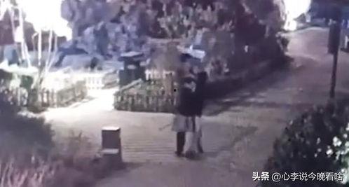 保定东湖吃瓜事件视频播放,网络热议背后的真相揭秘