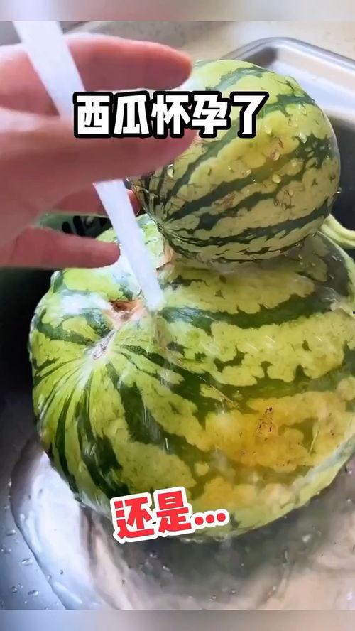 搞笑吃瓜商家视频,带你领略美食界的欢乐盛宴