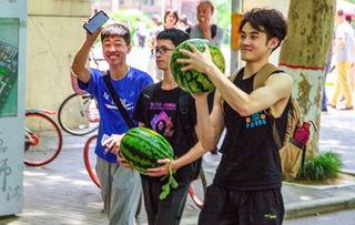 学校吃瓜视频,揭秘学校吃瓜视频背后的故事