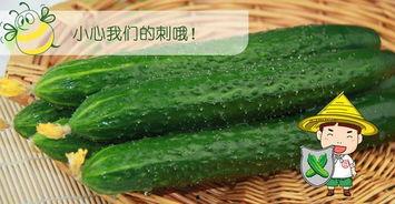 最好的吃瓜视频