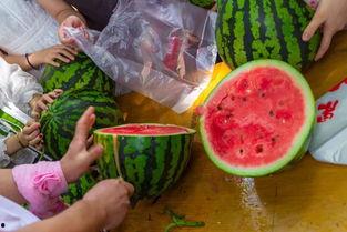 中国民间吃瓜视频,短视频时代的全民娱乐盛宴