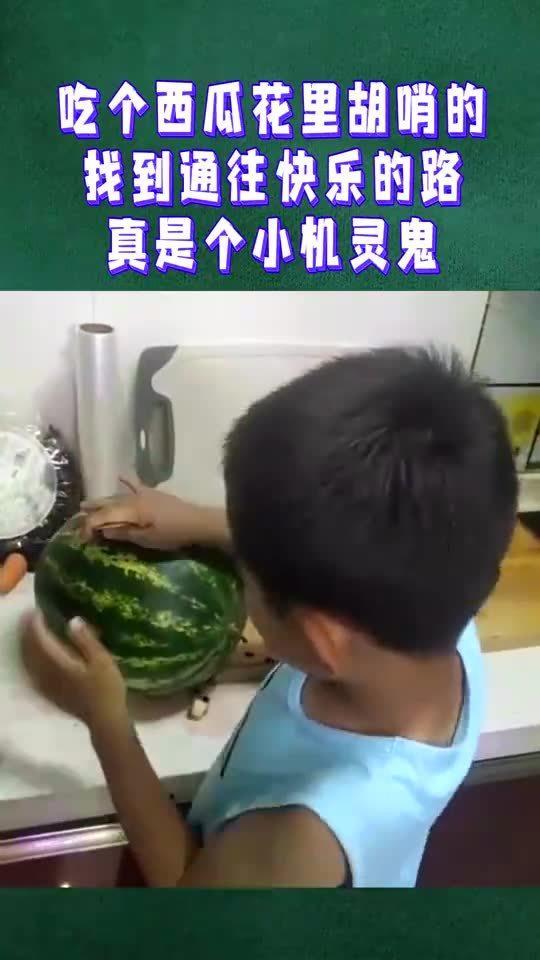 小机灵鬼吃瓜视频大全,趣味横生的欢乐时光