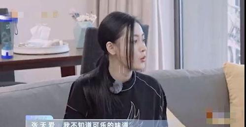 陈泽传媒吃瓜事件视频下载,视频下载背后的真相揭秘