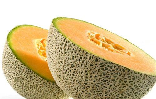 小林吃哈密瓜的视频,哈密瓜美味时光