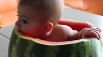 小孩吃瓜视频大全集,小孩吃瓜视频大全集欢乐集锦