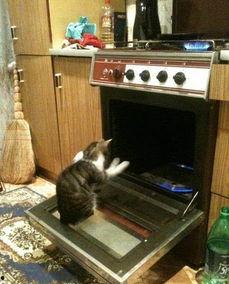 两个吃瓜群众坐门口视频,一幕日常生活中的欢乐瞬间