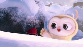 求吃瓜搞笑视频图片大全