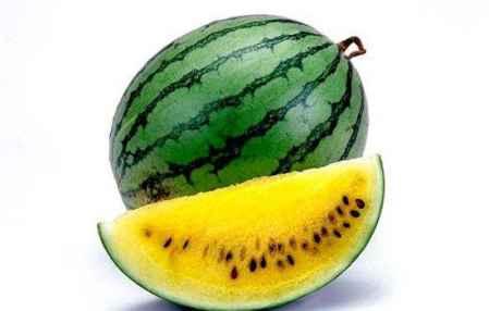 什么瓜吃瓤才好吃视频讲解,如何挑选与食用口感佳的瓜瓤