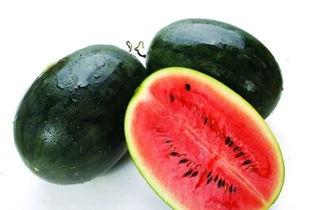 韩城吃瓜大事件视频,一场全民参与的狂欢盛宴