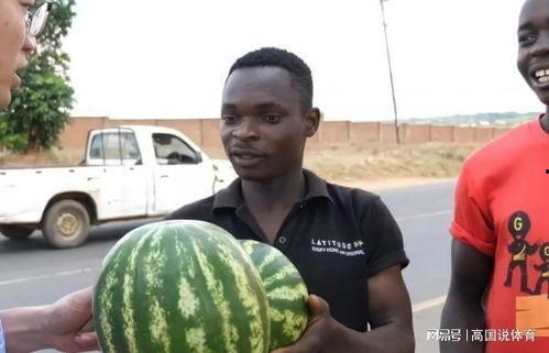 五大吃瓜的视频,揭秘娱乐圈幕后真相