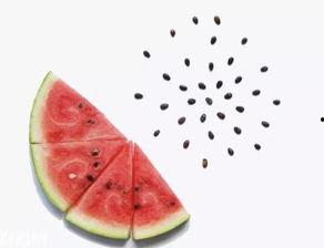 吃瓜吐籽特效怎么做视频