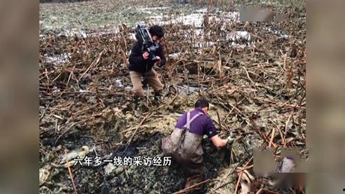 立扫把玩立正吃瓜视频,一场别开生面的网络视频盛宴