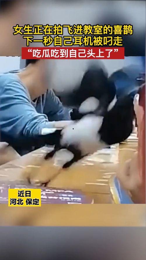 河北女的吃瓜事件视频播放,视频播放引发网友热议