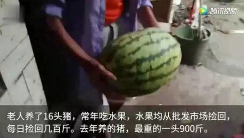 吃吃视频吃瓜,揭秘吃吃视频的瓜界风云