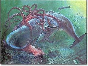 乌贼吃瓜视频完整版,揭秘视频背后的趣味与真相