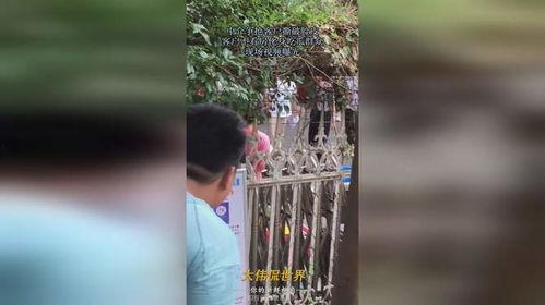 小贾吃瓜现场视频播放,视频揭秘娱乐圈幕后风云