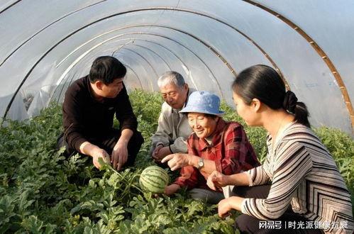 任县四中吃瓜视频,揭秘校园生活趣味瞬间